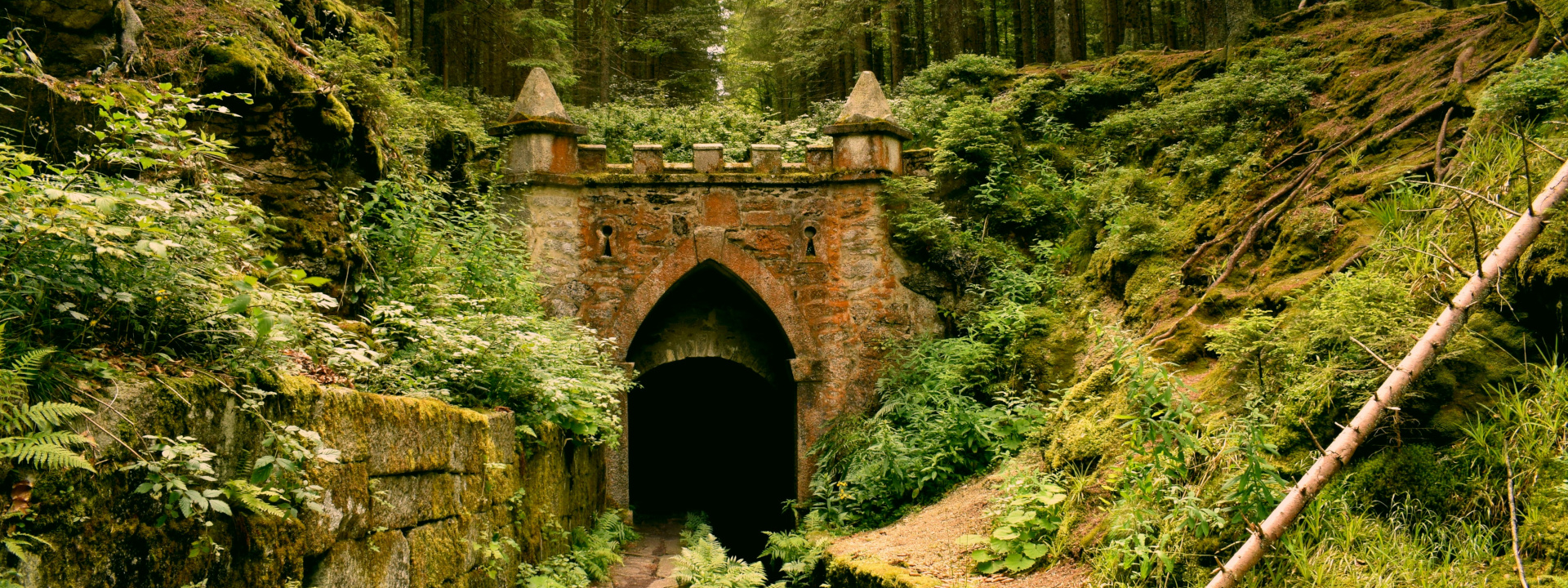 Kamienny portal w lesie